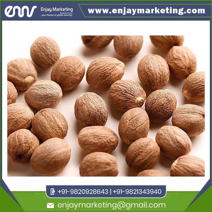 High Quality Natural Whole Nutmeg at Wholesale Price