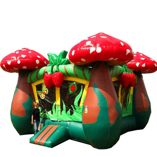 kids lovely Strawberry Shortcake indoor bounce house,indoor bounce house jump,custom bounce house