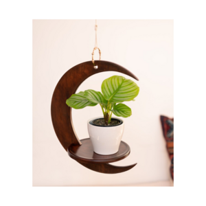 Home Decor Handmade Solid wood Moon Shaped Plant Hanger Hanging Planters