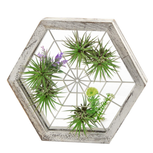 Rustic Wood Air Plant Holder, DIY Hexagon Air Plant Frame Hanger with Spider Web Shaped Wire Wall Hanging Air Plant Frame