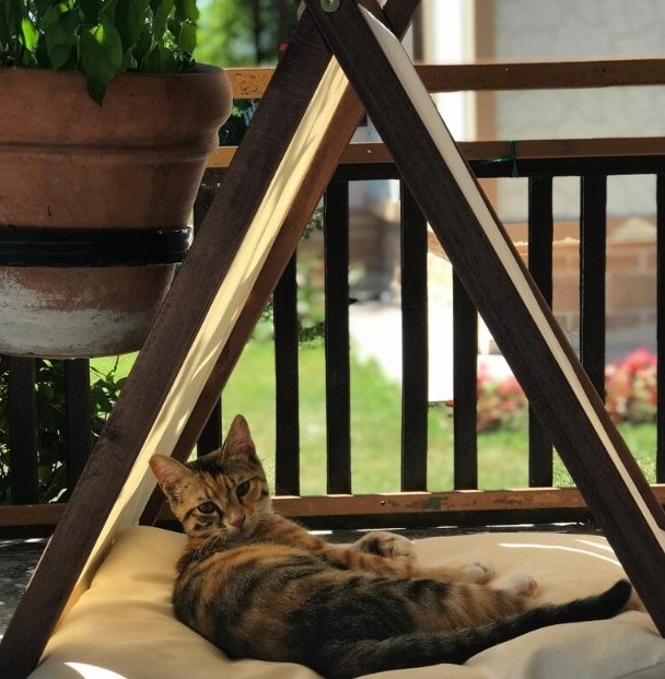 High Quality Artisan Crafted Beige Cat Teepee Elegant Pets Personalized Gift Triangle Design Small Pet Tent