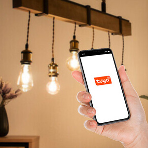 Smart Light Bulb WiFi Dimmable Vintage LED A19 Edison Smart Bulb Compatible with Alexa Google Assistant