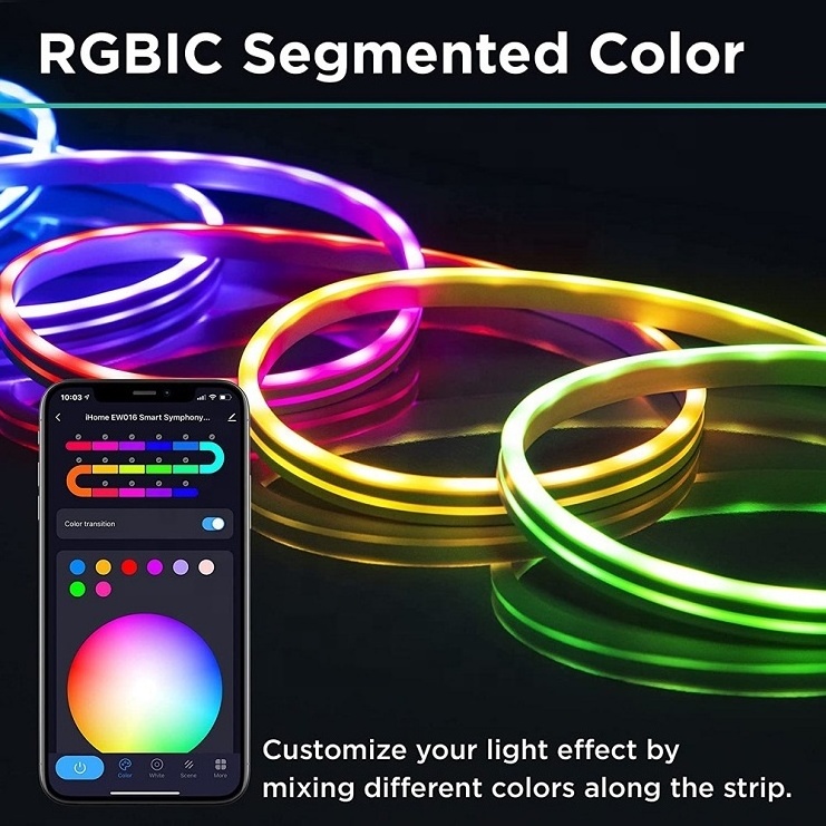 Wifi 12V RGBIC Neon Rope With Music Sync Neon Led Lights for Room Gaming Room Decoration alexae 3M5M