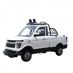 Double door electric vehicle pickup truck four Wheel Sedan Changli pickup