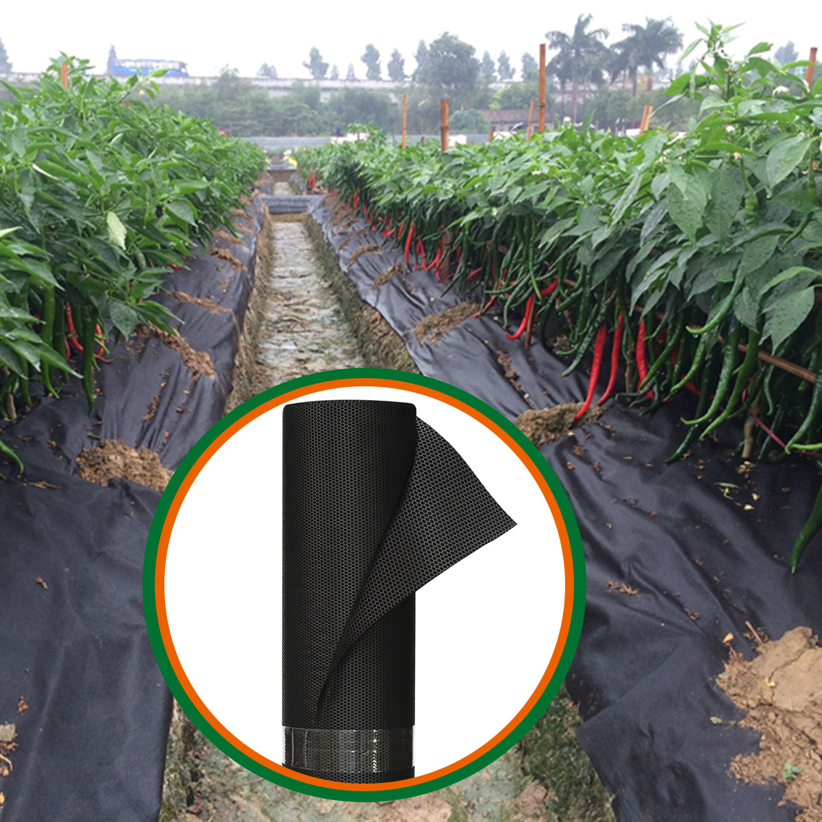 BSCI factory 60gsm 70gsm 80gsm 100gsm 120gsm white sunlight reflection crops fruit trees agro foil soil cover