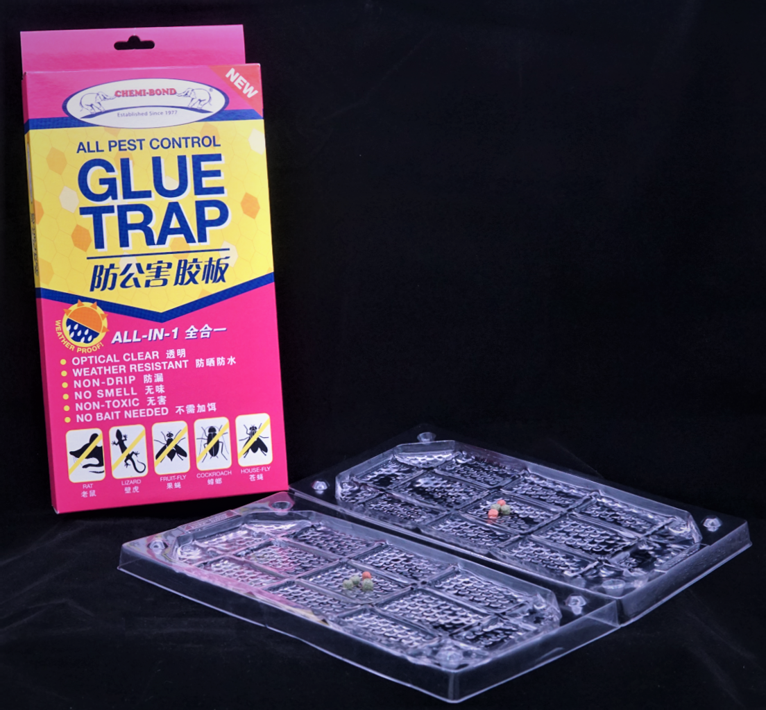 Non Toxic No Smell No Drip All Weather Resistant All in One Pest Control Product for Insect Mouse Rat Hygiene Glue Trap Tray