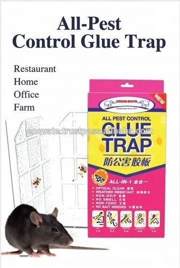 Non Toxic No Smell No Drip All Weather Resistant All in One Pest Control Product for Insect Mouse Rat Hygiene Glue Trap Tray