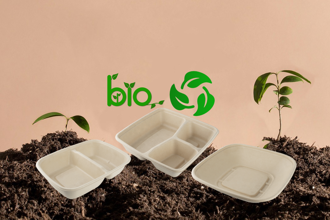 High Quality Home Takeaway Biodegradable Sugarcane Bagasse Clamshell Box Disposable Food Container