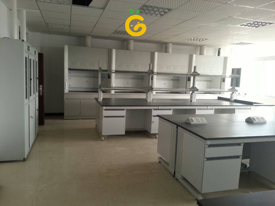 Factory Direct Price Science Lab Workstations Laboratory Equipment with Drawing Wet H-frame PP Laboratory Bench Customized