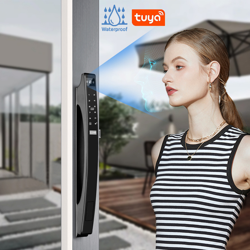 Enrique Tuya Smart Lock With 3D face recognition Waterproof Keyless Digital Electric Lock Hook Lock for Aluminum Sliding Door