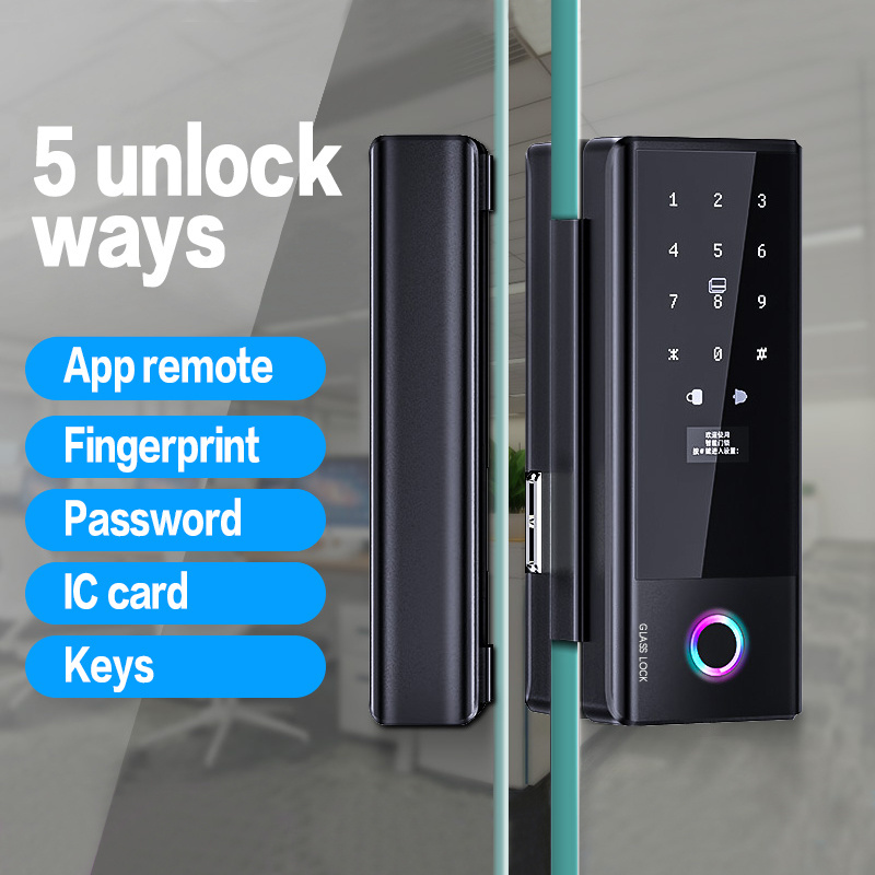 Enrique Tuya biometric fingerprint smart door lock ble password keyless bluetooth key intelligent tt lock for glass door