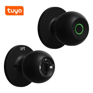 Enrique Tuya Bathroom Door Handles And American Automatic Tuya Smart Interior Door Locks Knob Sets Fingerprint