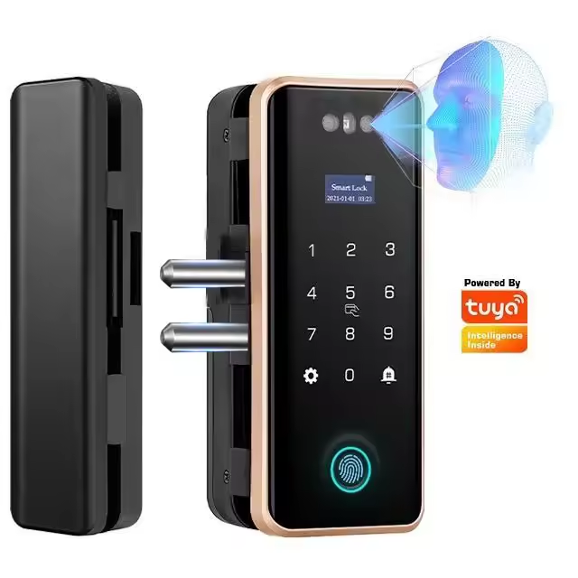 Enrique Tuya 3D Face Recognition WiFi App Glass Door Lock Digital Fingerprint RFID Smart Card Keyless Security Lock for Office