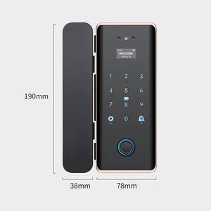 Enrique Tuya 3D Face Recognition WiFi App Glass Door Lock Digital Fingerprint RFID Smart Card Keyless Security Lock for Office