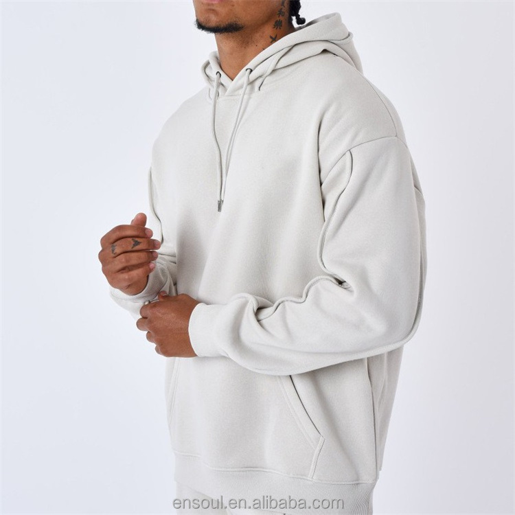 Personalized Custom Heavyweight Loose Blank Organic Pastel Color Cotton Bulks of Hoodie for Men