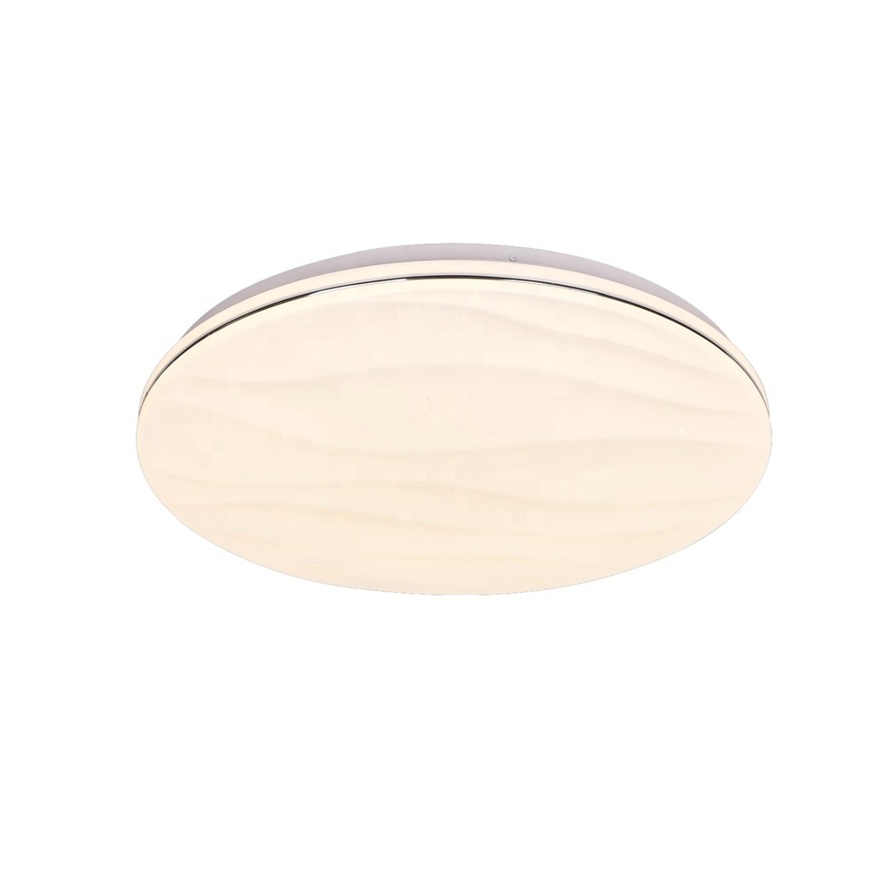 Round flush mount ceiling lights With Remote 3000-6500K 36W 48w Cool White Led Fitting for Dining Room Hallway Hotel