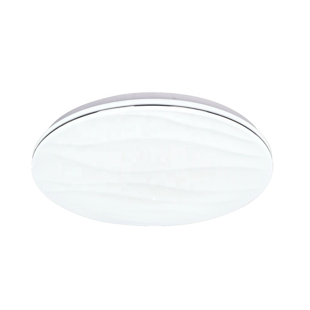 Round flush mount ceiling lights With Remote 3000-6500K 36W 48w Cool White Led Fitting for Dining Room Hallway Hotel