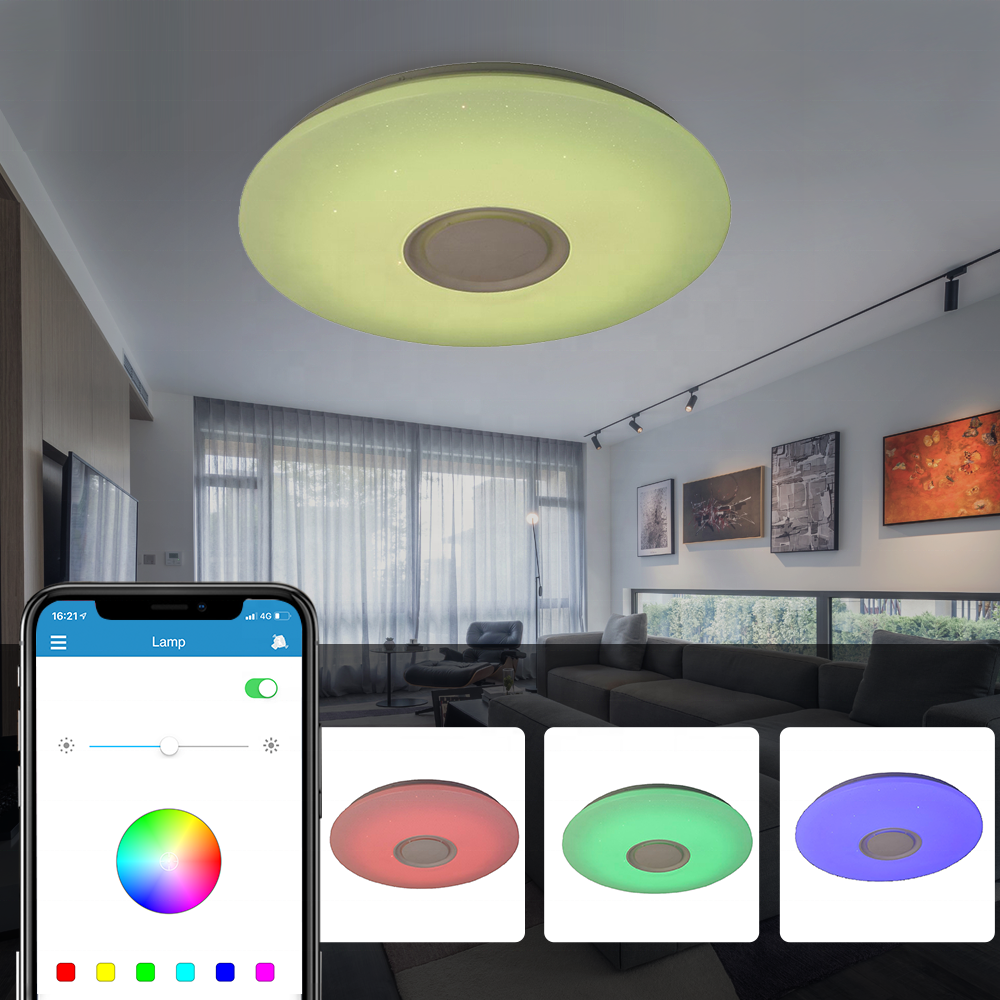 ENVIS Round Music Series Lamp 2.4G Control Phone APP Wireless Speaker  RGB Arylic Indoor Ceiling Light Fixtures