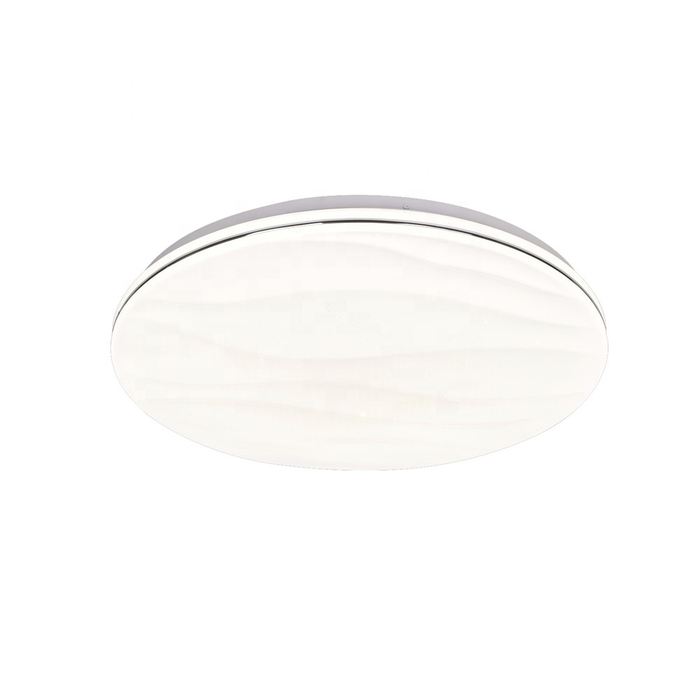 Round flush mount ceiling lights With Remote 3000-6500K 36W 48w Cool White Led Fitting for Dining Room Hallway Hotel