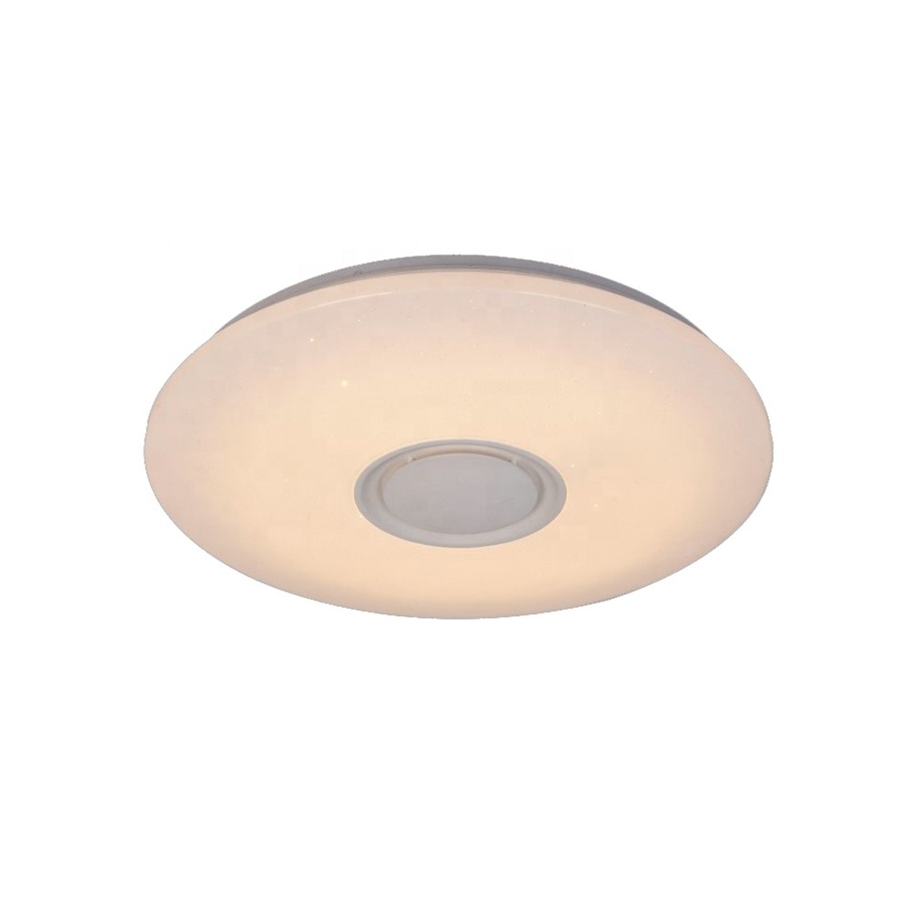 ENVIS Round Music Series Lamp 2.4G Control Phone APP Wireless Speaker  RGB Arylic Indoor Ceiling Light Fixtures