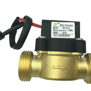 paddle system sensor water flow switch price