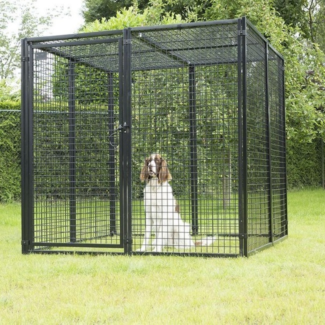 Indoor Dog Kennels