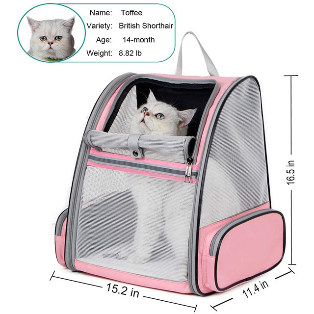 Ventilated Collapsible Pet Backpack Carrier With Safety Strap Breathable Mesh Pockets for Small Cats Dogs Travel  Hiking Outdoor