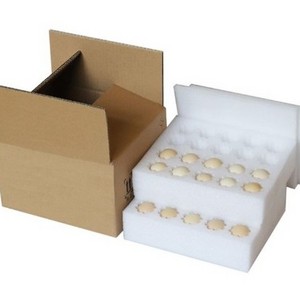 White EPE foam packing for Egg insert