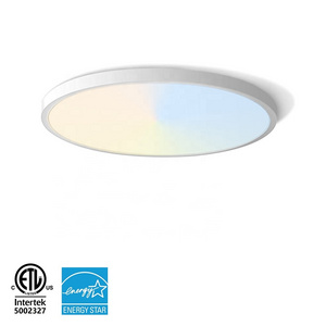 9 12 16 Inch ETL Energy Star Ephan Flush Mounted Led Ceiling Lights For Living Room