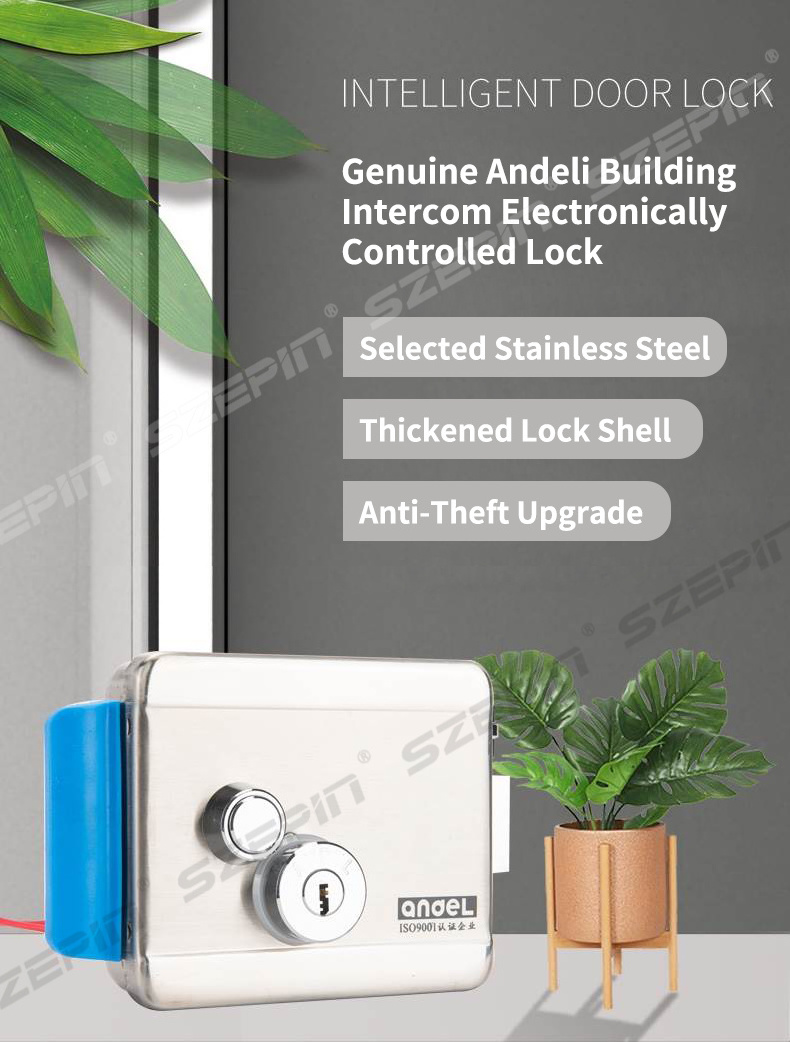 Mechanical Inside And Outside Stainless Steel 12v Security Smart Magnetic Electronic Electric Door Rim Lock Manufacturer Price