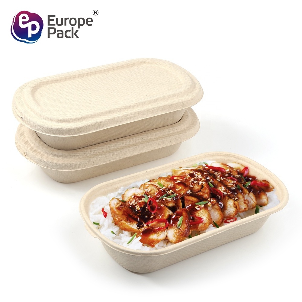 Disposable Paper Pulp Lunch Box Sugarcane Bagasse Biodegradable Take Away Food Containers Plastic Boxes