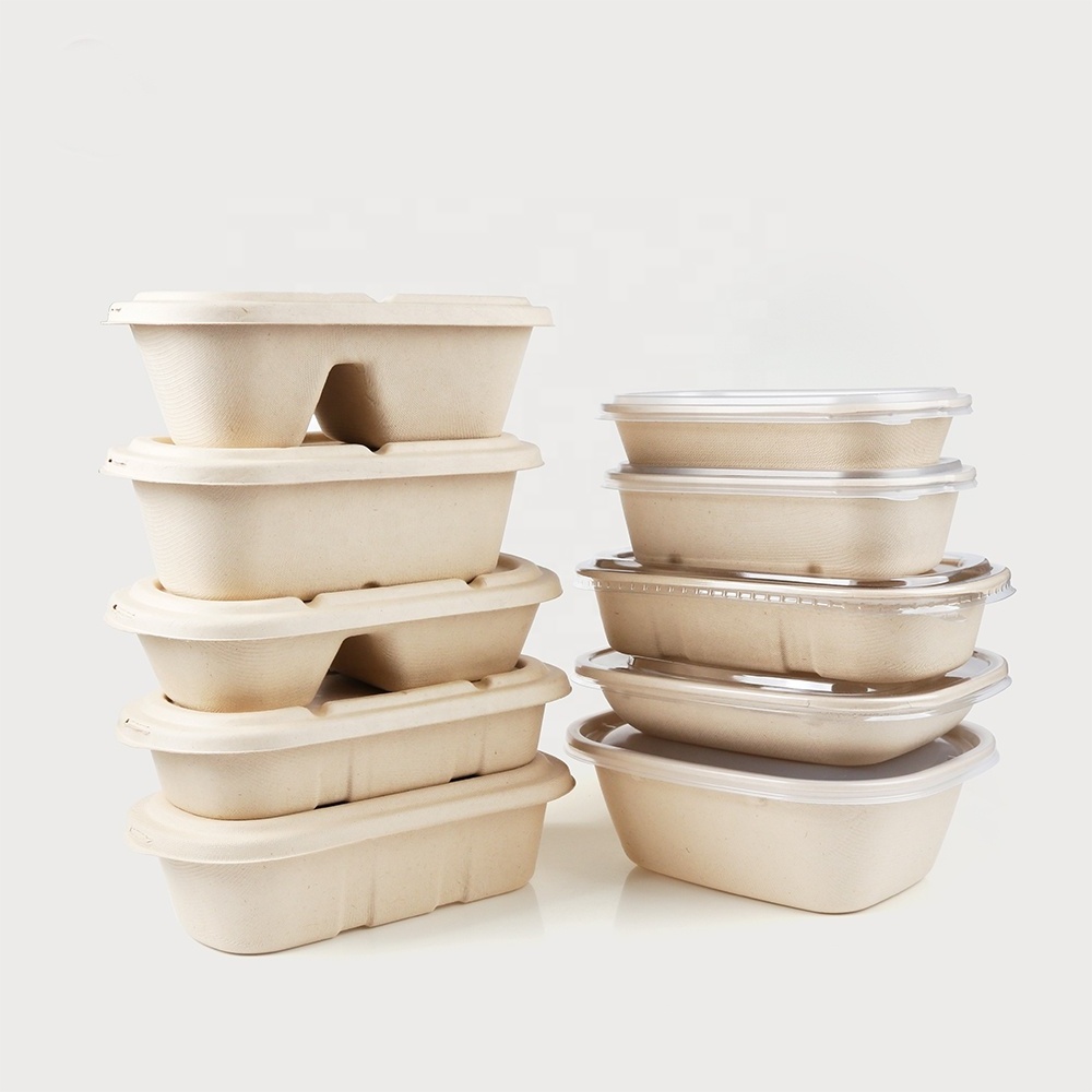 Disposable Paper Pulp Lunch Box Sugarcane Bagasse Biodegradable Take Away Food Containers Plastic Boxes