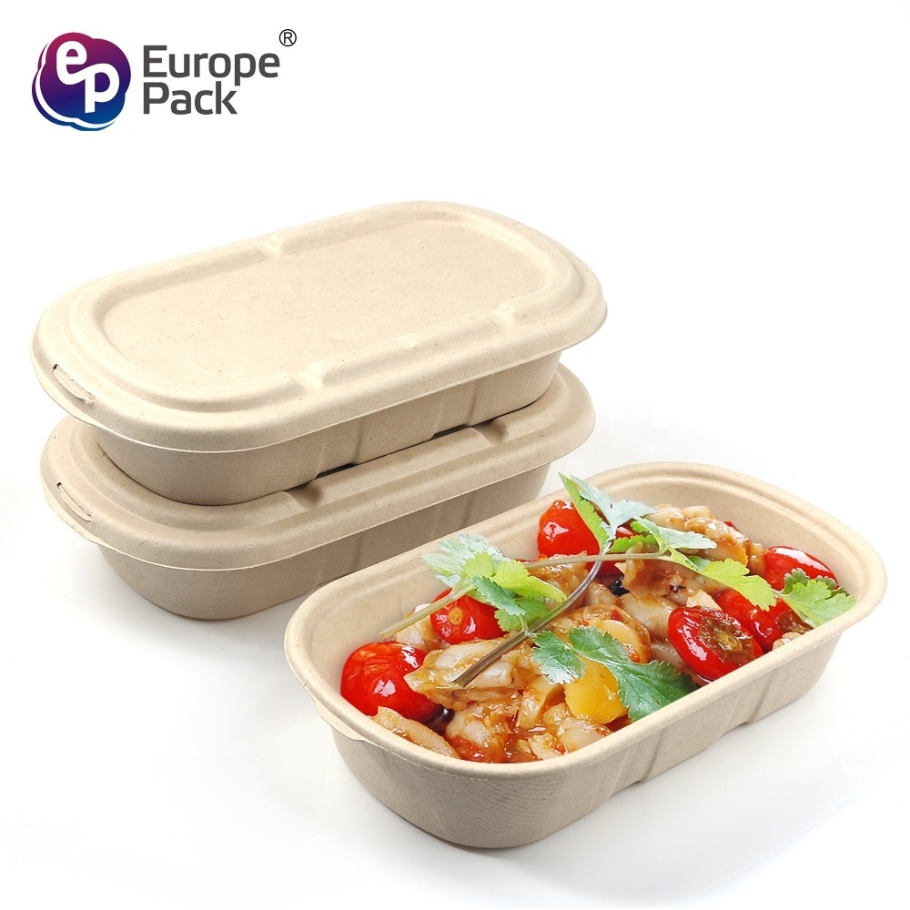 Disposable Paper Pulp Lunch Box Sugarcane Bagasse Biodegradable Take Away Food Containers Plastic Boxes