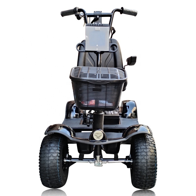 Golf Kart  Club Cart Twist Chassis Controller Electric Golf Buggy Golf Cart