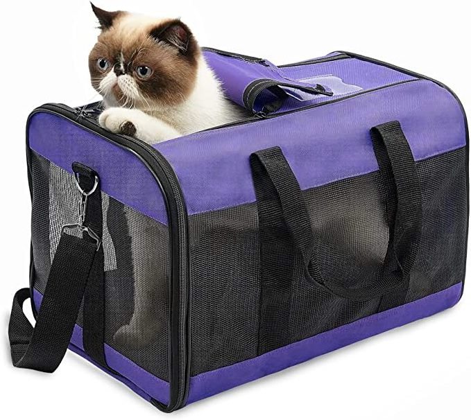 airline approved pet carrier dog cat travel bag cute bag for cat cat bags pet carriers dog products