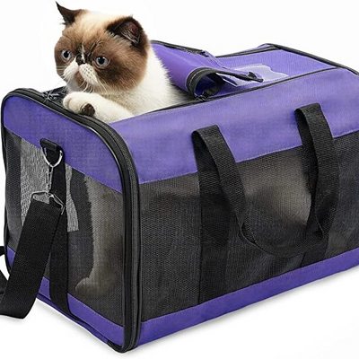 airline approved pet carrier dog cat travel bag cute bag for cat cat bags pet carriers dog products