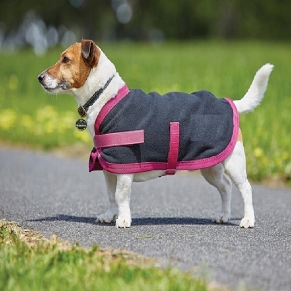 Waterproof dog coat Reflective Pet Dog rug manufacture Warm Coats Jackets For Dog Shop range of small medium large size India