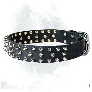 Adjustable Leather Dog Collar Spike Metal Buckle Studded Collars for Dog with D Ring Manufacturers Kanpur Pet Shop Accessories