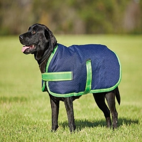 Dog Rain Coat with Hood Waterproof Pet Slicker Raincoat Safety Dog Jacket Manufacturers Equine Riding Product Pet Supplies