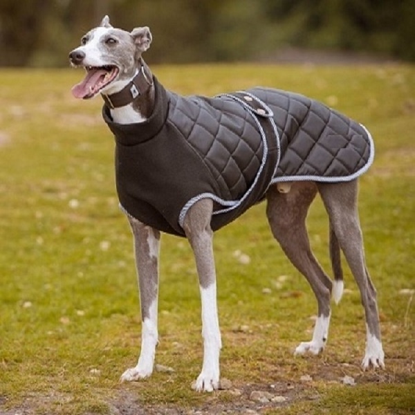 Customized design Sportswear Dog Coat Style Pet Apparel Waterproof Quilted Stable Dog Cloth Manufacturers India Kanpur Shop