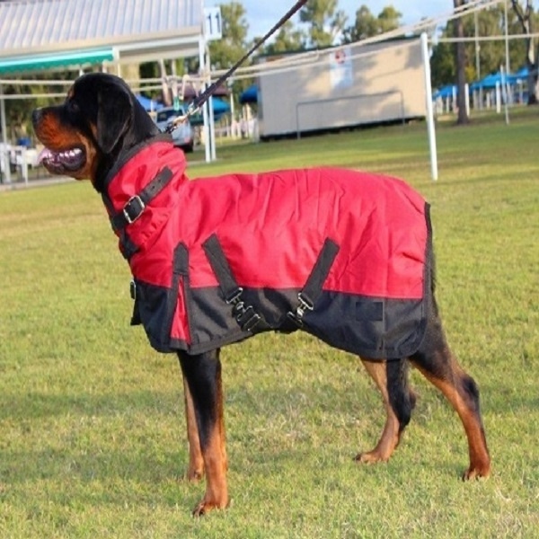 Customized design Sportswear Dog Coat Style Pet Apparel Waterproof Quilted Stable Dog Cloth Manufacturers India Kanpur Shop