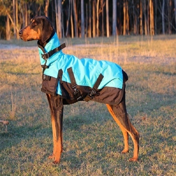 Customized design Sportswear Dog Coat Style Pet Apparel Waterproof Quilted Stable Dog Cloth Manufacturers India Kanpur Shop