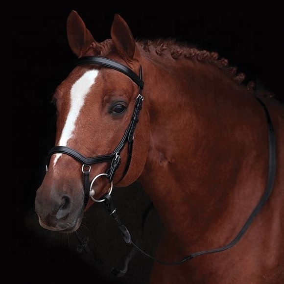 Top Selling Horse Riding Leather Bridle with Empty Channel Brow