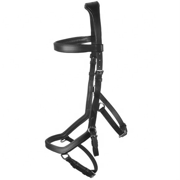 Top Selling Horse Riding Leather Bridle with Empty Channel Brow