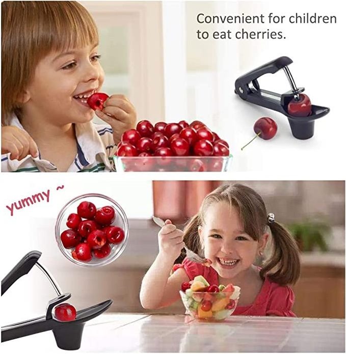 Multi-Function Fruit Corer Cherry Pitter Tool Portable Olive and Cherry Pitter Remover Suitable for Home Kitchen