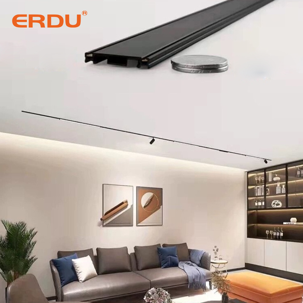 ERDU Indoor Light Adjustable Black White Lamp DC48V Magnetic Track Rail System 6W 12W COB Linear Led Shop Light for Home