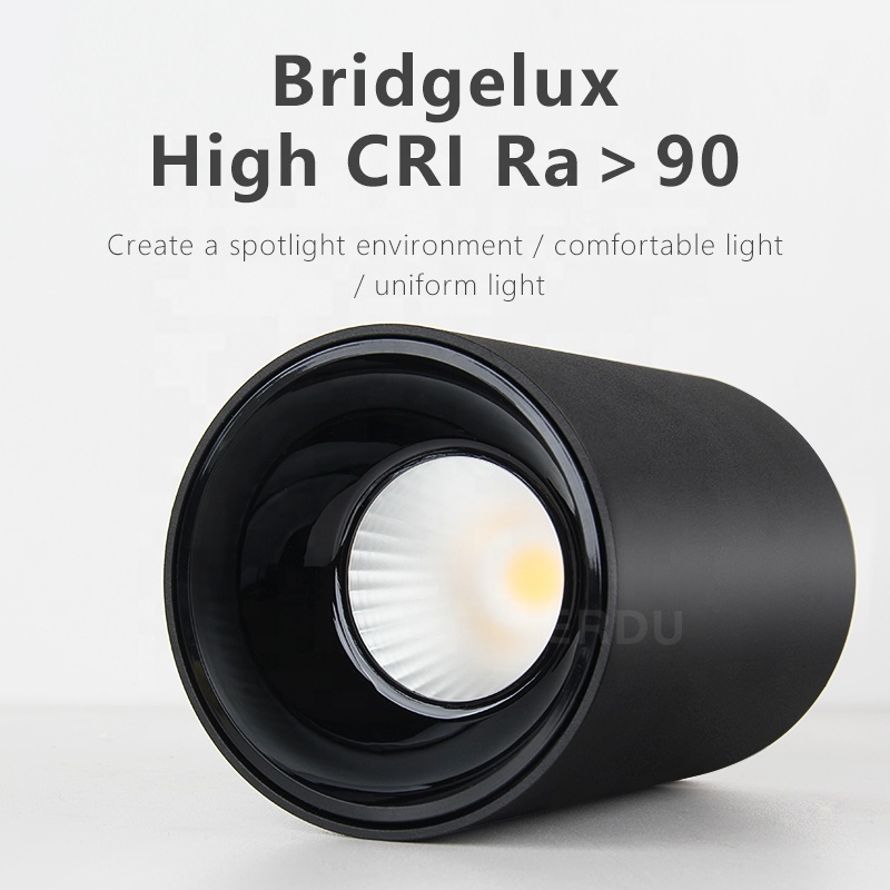 ERDU Led Spotlights Indoor Modern Surface Mounted Downlight COB Spot light White Black Ra>90 12w