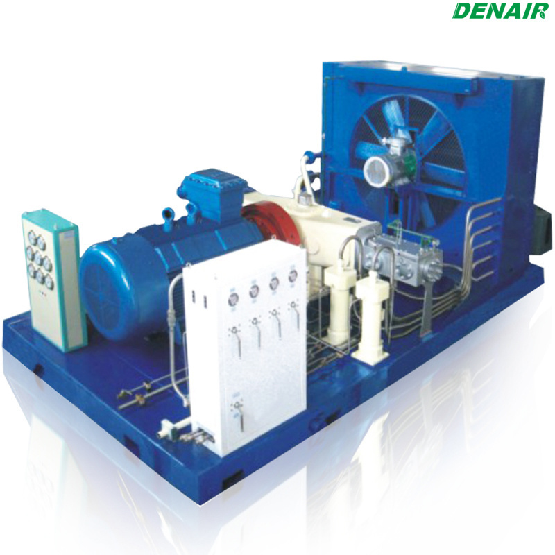 Chinese brand denair high quality natural gas compressor station CNG Compressor