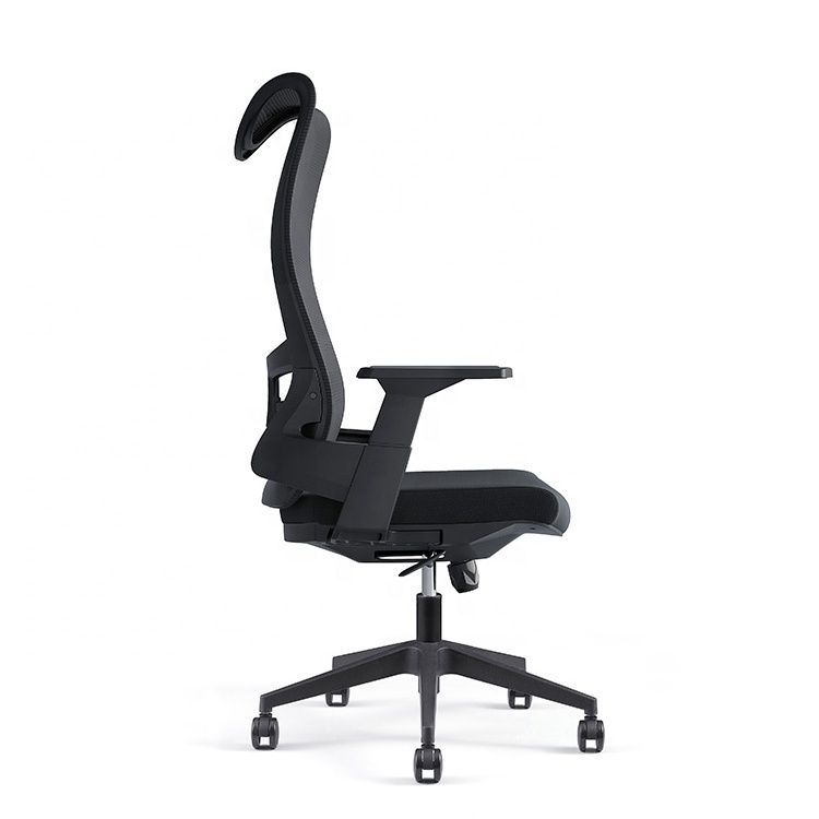 Adjustable Lumber Support Office Chair High Back Fixed Armrest Ergonomic Office Chair