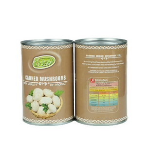 March Expo Wholesale Factory Price 2024 New Season High Quality And Good Price OEM/ODM Available Canned Mushroom